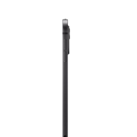 Планшет Apple iPad Pro 11" 1Tb (2024) Wi-Fi + Cellular нанотекстурное стекло «черный космос»